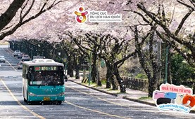 Tour du lịch Hàn Quốc | Đà Nẵng - Seoul - Nami - Everland 5 Ngày 4 Đêm