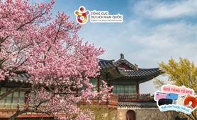 Tour du lịch Hàn Quốc | TP. Hồ Chí Minh - Seoul - Đảo Nami - Everland 5 ngày 4 đêm