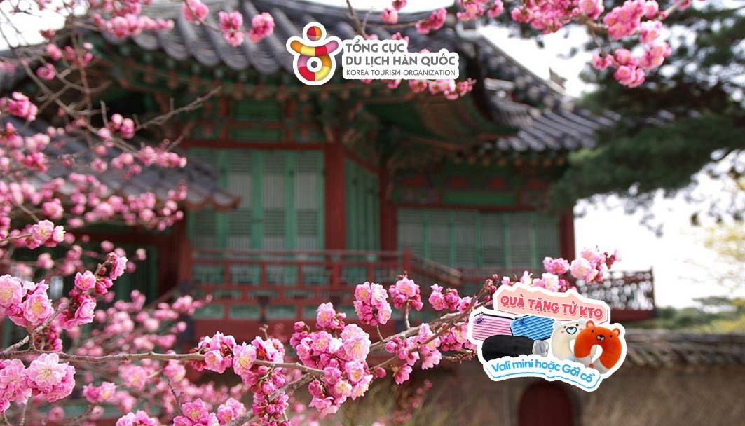 Cùng ghi lại những bức ảnh đẹp ở Hàn Quốc