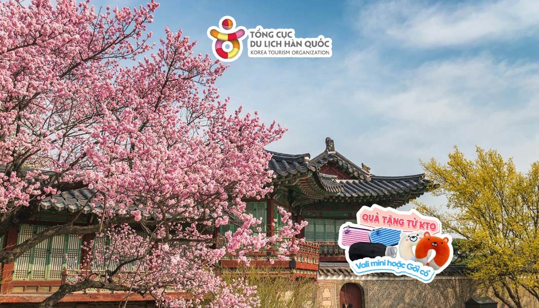 Khám phá vẻ đẹp thanh bình của Làng Hanok Bukcheon