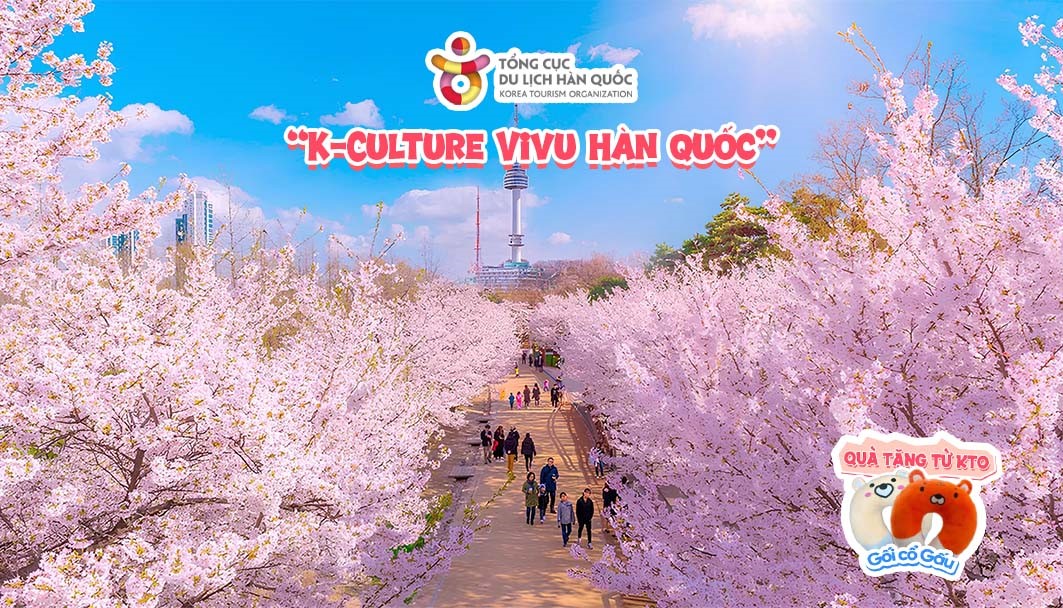 Chìm đắm trong sắc hồng hoa anh đào tại Xứ sở Kim Chi