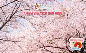 Tour du lịch Hàn Quốc | Hải Phòng - Hàn Quốc 6 ngày 5 đêm | Bay thẳng