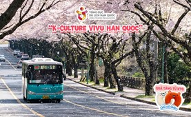 Tour du lịch Hàn Quốc | Đà Nẵng - Seoul - Nami - Everland 5 Ngày 4 Đêm