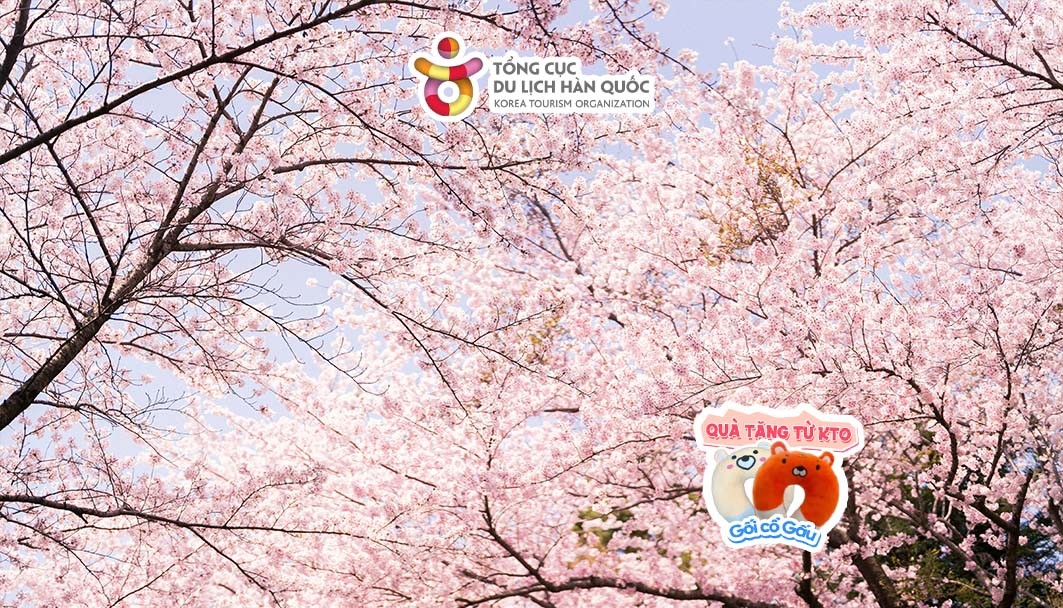 Thăm quan Tháp Busan 