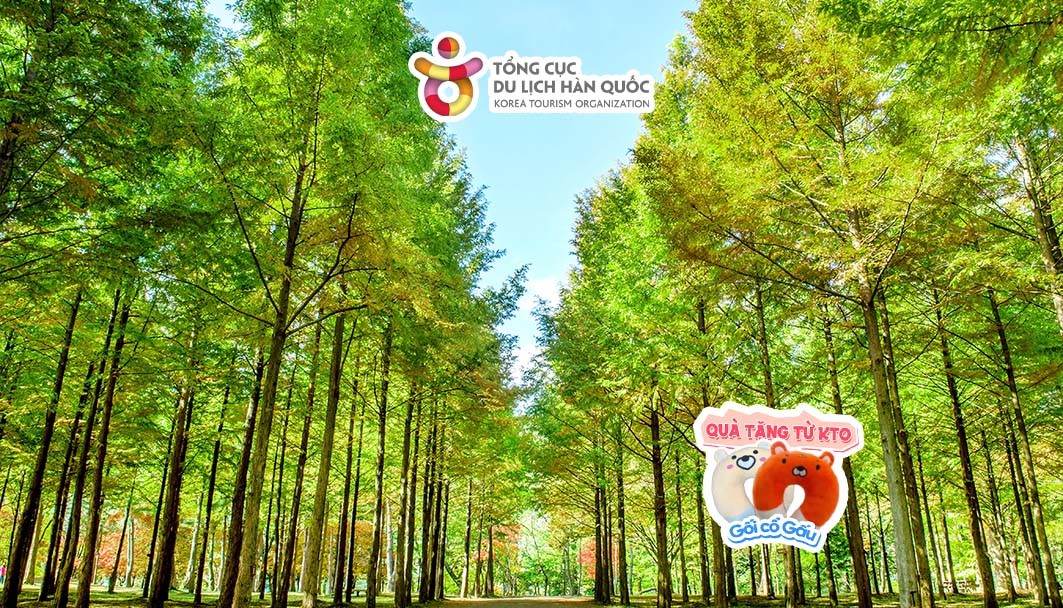 Đảo Nami trong bối cảnh phim "Bản tình ca mùa đông"