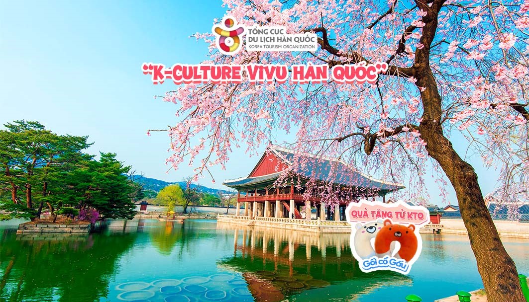 Mùa hoa anh đào rực rỡ sắc hồng