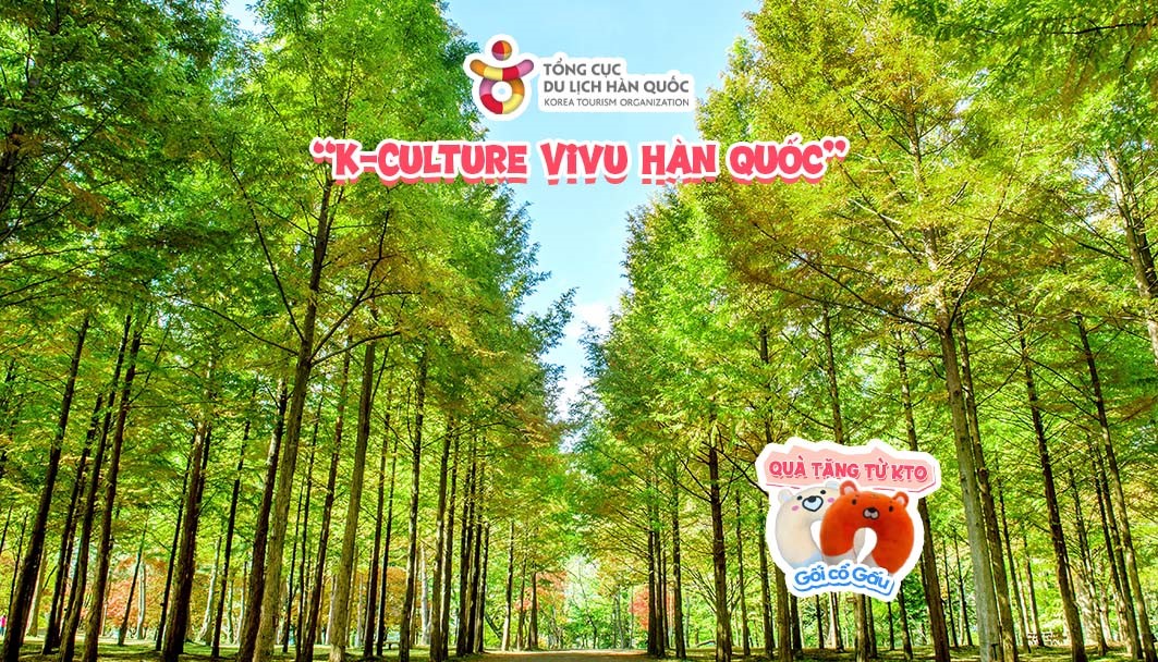 Thăm quan Đảo nami rực rỡ sắc xanh