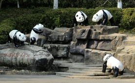 Tour du lịch Hà Nội - Sở Thú Trùng Khánh 4 ngày 3 đêm