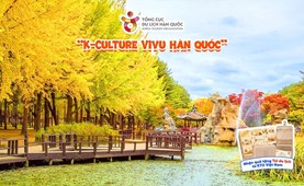 Tour du lịch Hàn Quốc | Đà Nẵng - Seoul - Nami - Everland 5 Ngày 4 Đêm