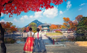 Tour du lịch Hàn Quốc | Hà Nội -  Seoul - Đảo Nami - Everland 5N4Đ | Bay Sun Phuquoc Airways