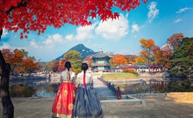 Tour du lịch Hàn Quốc | Hà Nội -  Seoul - Đảo Nami - Everland 5N4Đ | Bay Sun Phuquoc Airways