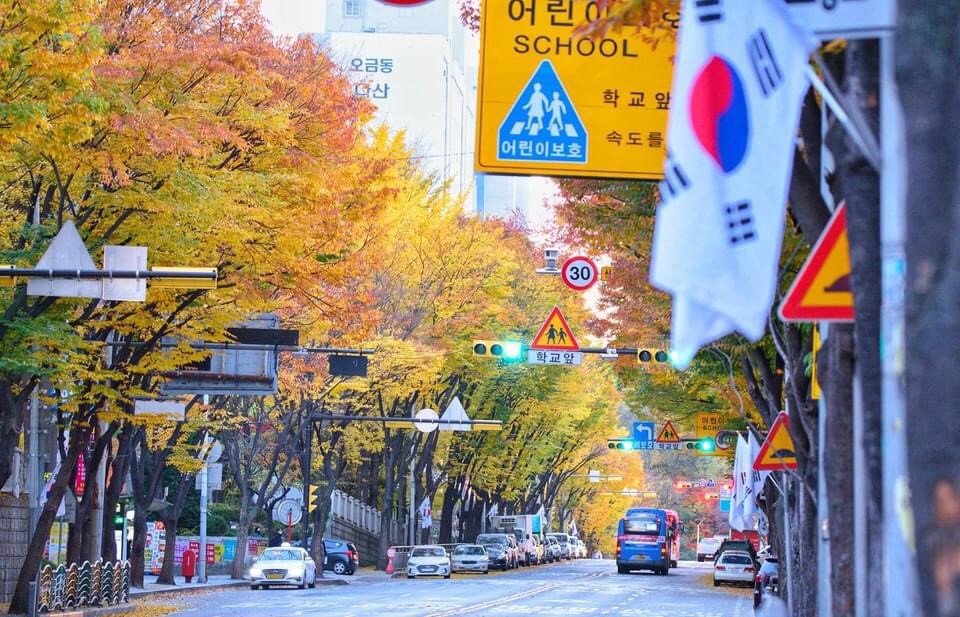 Thỏa sức check-in tại Cung điện hoàng gia Gyeongbokgung