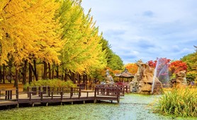 Tour du lịch TP. Hồ Chí Minh - Seoul - Đảo Nami - Everland 4 ngày 4 đêm - Bay Sun Phuquoc Airways