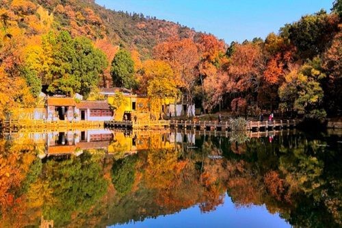 Một Tô Châu xinh đẹp mùa lá vàng lá đỏ