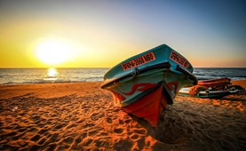 Tour du lịch Sri Lanka | Hà Nội - Colombo - Negombo - Sigiriya - Safari - Kandy - Nuwara Elyia 6N5Đ