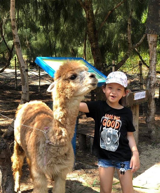 Check in địa điểm du lịch mới cực hot- FLC Zoo Safari Park tại Quy Nhơn