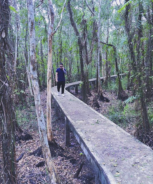 Du lịch rừng quốc gia U Minh Hạ - Những kinh nghiệm hữu ích cho mọi du khách