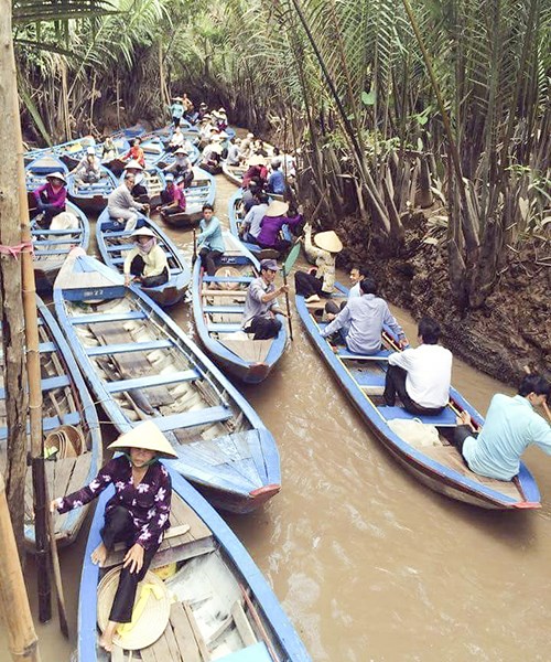 Kinh nghiệm du lịch cù lao Thới Sơn ở Tiền Giang miền Tây Nam Bộ hữu ích nhất