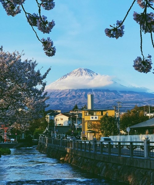 Những điều bạn nên biết trước khi du lịch tới Chubu, Nhật Bản