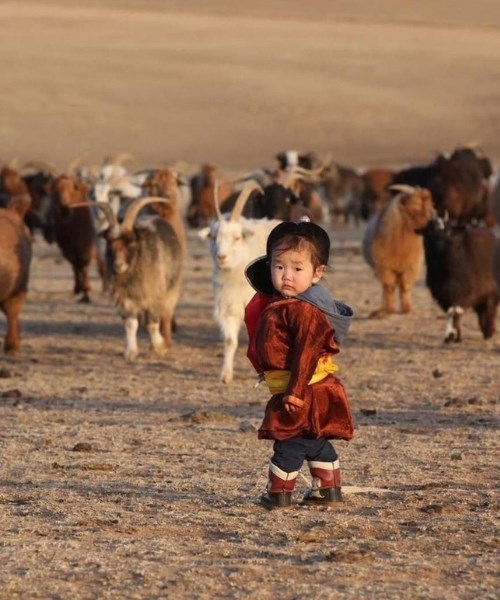 Cẩm nang chi tiết cho chuyến du lịch Mông Cổ giá rẻ