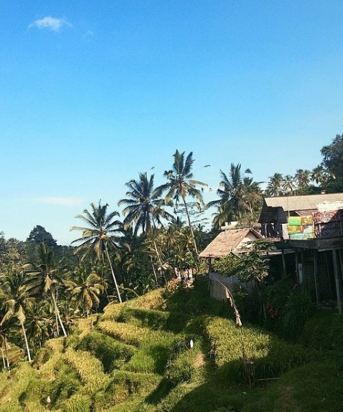 Du lịch Bali mùa nào đẹp nhất, khí hậu, thời điểm chi tiết các tháng trong năm