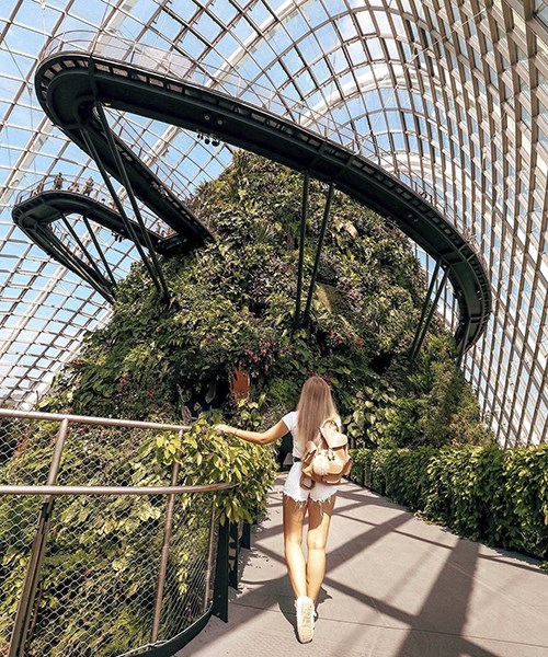 Kinh nghiệm đi tham quan Garden by the Bay ở singapore chi tiết và hữu ích nhất