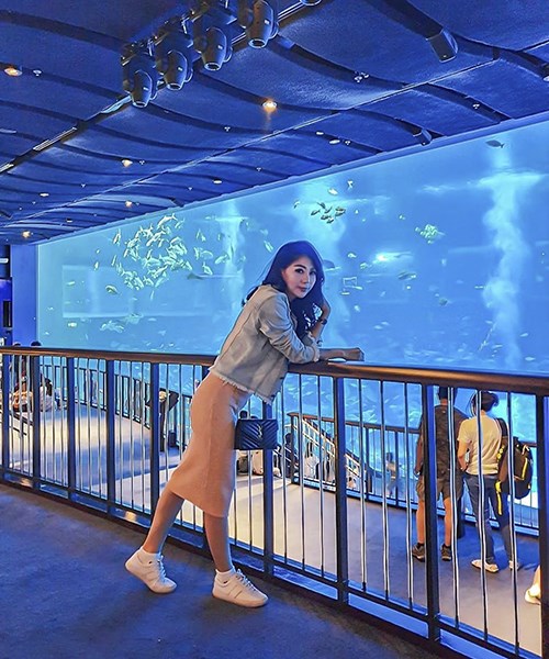 Cùng khám phá thủy cung S.E.A Aquarium singapore - thủy cung lớn nhất thế giới ở singapore