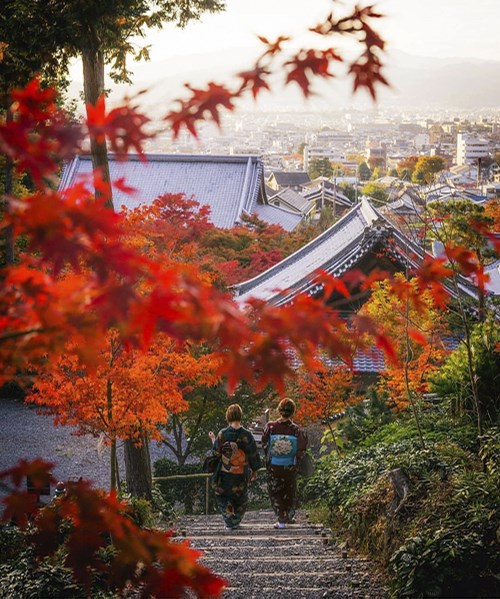 Nhật Bản mùa thu - Lịch dự kiến và 10 điểm ngắm lá vàng lá đỏ đẹp nhất ở Tokyo