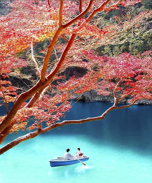 Kinh nghiệm “xương máu” khi đi du lịch Nhật Bản mùa lá vàng lá đỏ
