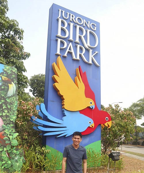 Kinh nghiệm đi tham quan vườn chim Jurong ở Singapore cực hữu ích dành cho mọi du khách