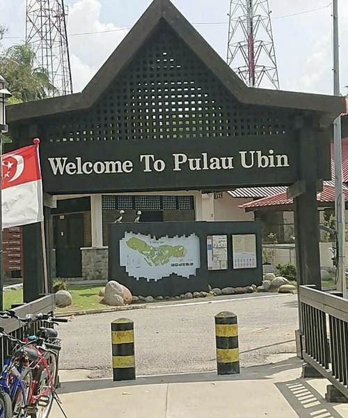 Đi Singapore ghé thăm hòn đảo Pulau Ubin hoang sơ nhất quốc đảo sư tử