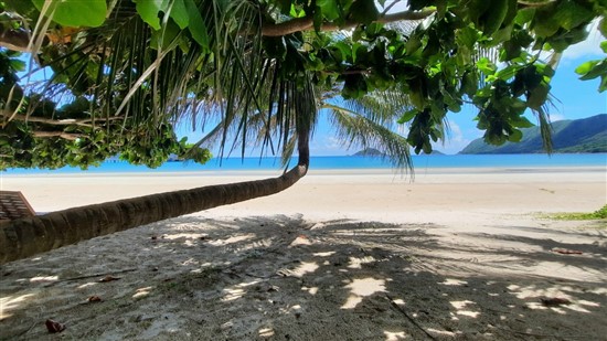 5 lý do nên đi Côn Đảo cực thuyết phục