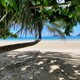 5 lý do nên đi Côn Đảo cực thuyết phục
