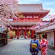 Bật mí 5 địa điểm “hớp hồn du khách” khi đến với thủ đô của Nhật Bản