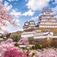 Hé lộ 5 địa điểm ngắm hoa anh đào Nhật Bản đẹp nhất 