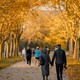 8 thành phố mùa thu quyến rũ và lãng mạn nhất châu Âu
