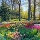 Review lễ hội Keukenhof: Lễ hội hoa rực rỡ nhất tại Hà Lan