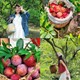 Hè này không đi biển thì đi đâu? Những gợi ý du lịch mát mẻ, thư giãn và “chill chill” không kém
