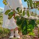 Bỏ túi ngay 39 trải nghiệm ai cũng phải thử một lần khi đến Đắk Lắk