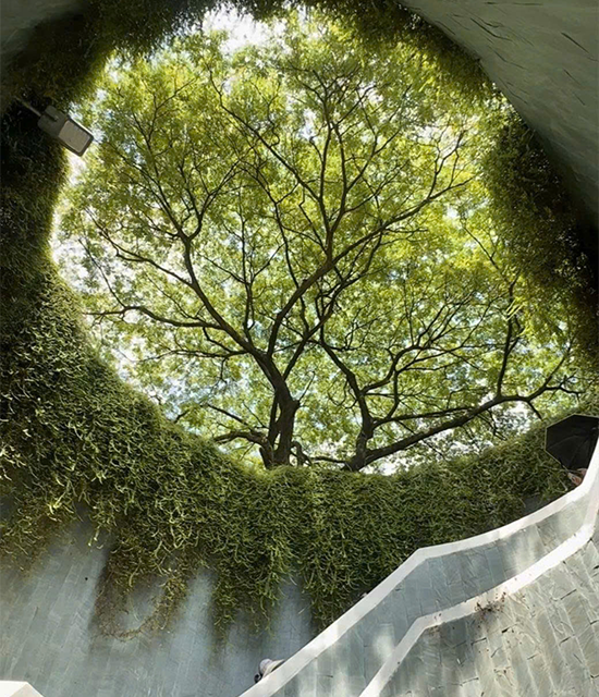 🇸🇬🇲🇾 Ẩm Thực Singapore và Malaysia: Cuộc "Đại Chiến" Vị Giác & Sự Khác Biệt Thú Vị Bạn Chưa Biết