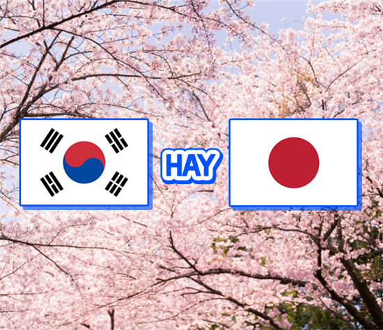 Nên đi Nhật Bản hay Hàn Quốc mùa hoa anh đào 2026? So sánh chi tiết từ A-Z