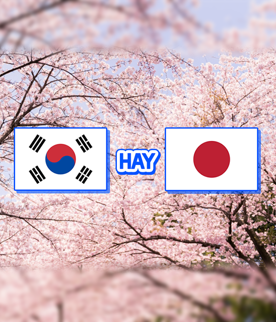 Nên đi Nhật Bản hay Hàn Quốc mùa hoa anh đào 2026? So sánh chi tiết từ A-Z