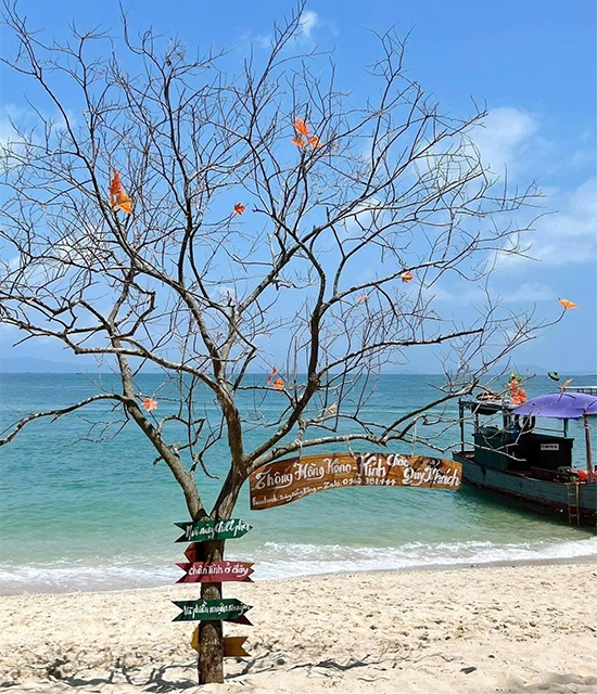 Check-in 7 Hòn Đảo Hoang Sơ tại Việt Nam Mùa Hè 2026 (Phú Quý, Côn Đảo, Cô Tô...)