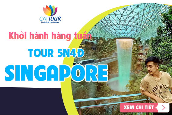 Tour Singapore