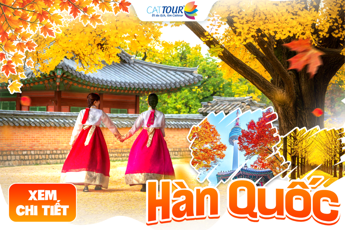 Tour Hàn Quốc