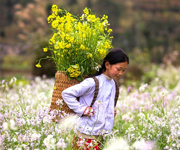 Du lịch Hà Giang