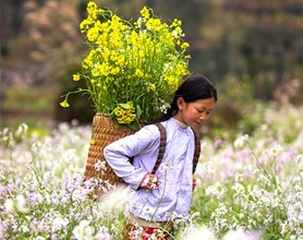 Du lịch Hà Giang