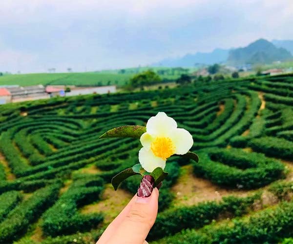 Du lịch Điện Biên