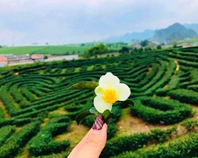 Du lịch Điện Biên