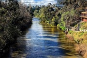 Tour du lịch Melbourne - Sydney - Jervis Bay - Hái Cherry tại vườn